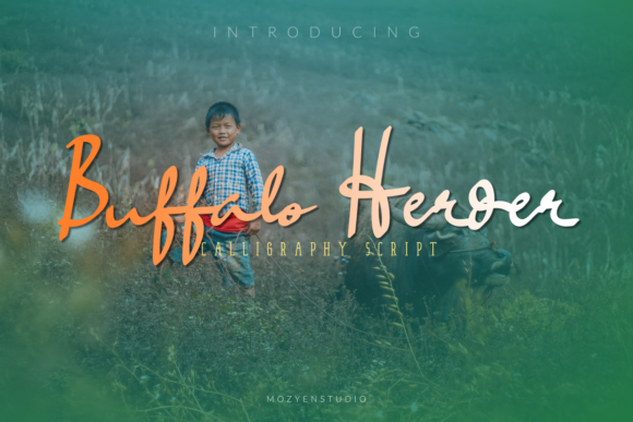Buffalo Herder Font - Featured Image