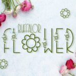Buffalor Flower Font - Featured Image