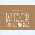 Buffalor Font - Featured Image