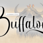 Buffalow Font - Featured Image