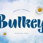 Bulkey Font - Featured Image