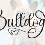 Bulldogs Font - Featured Image
