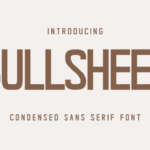 Bullsheet Font - Featured Image
