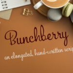 Bunchberry Font - Featured Image