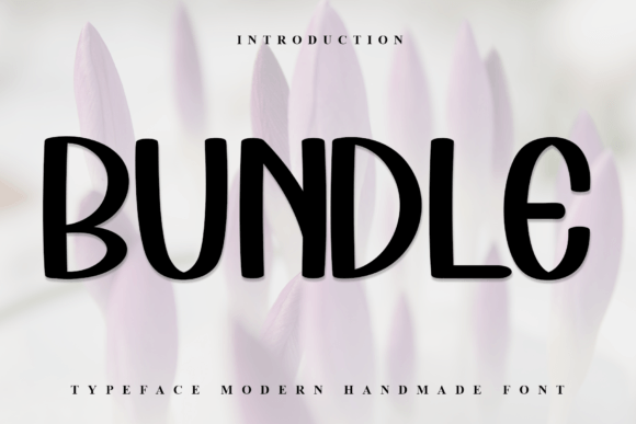 Bundle Font - Featured Image