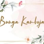 Bunga Kamboja Font - Featured Image