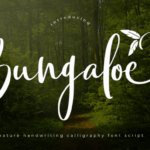 Bungaloe Font - Featured Image