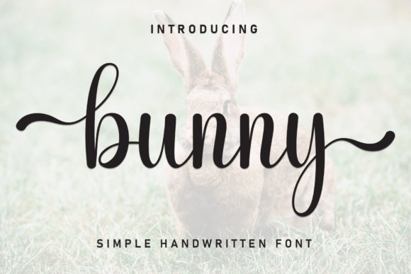 Bunny Font - Featured Image