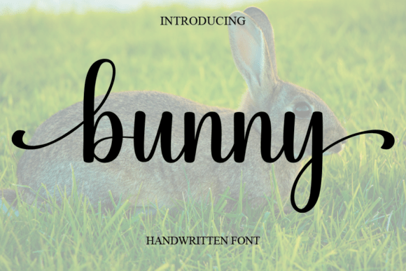 Bunny Font - Featured Image