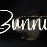 Bunny Font - Featured Image