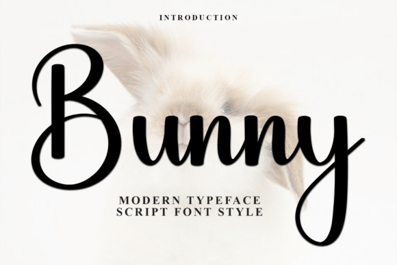 Bunny Font - Featured Image