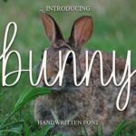 Bunny Font - Featured Image