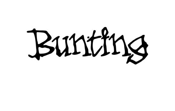 Bunting Font - Featured Image