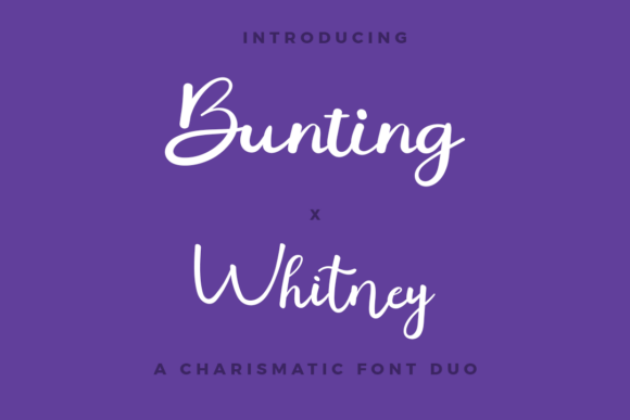 Bunting X Whitney Font - Featured Image