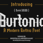 Burtonia Font - Featured Image