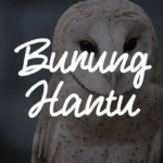 Burung Hantu Font - Featured Image