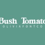 Bush Tomato Font - Featured Image