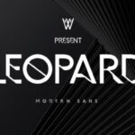 Business Modern Sans Font - Featured Image