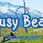 Busy Bear Font - Featured Image