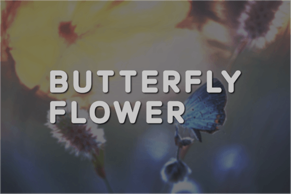 Butterfly Flower Font - Featured Image