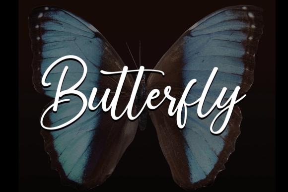 Butterfly Font - Featured Image
