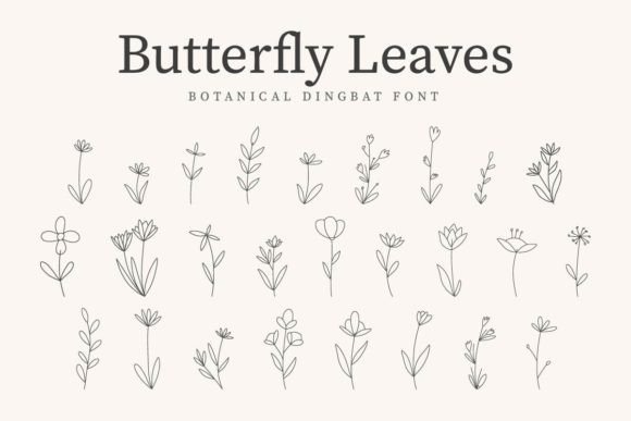 Butterfly Leaves Font - Featured Image