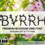Byrrh Font - Featured Image