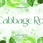 Cabbage Roll Font - Featured Image