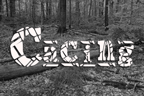 Cacing Font - Featured Image