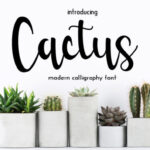 Cactus Font - Featured Image