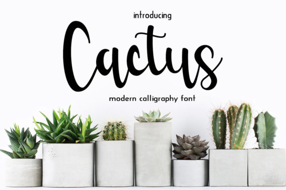 Cactus Font - Featured Image