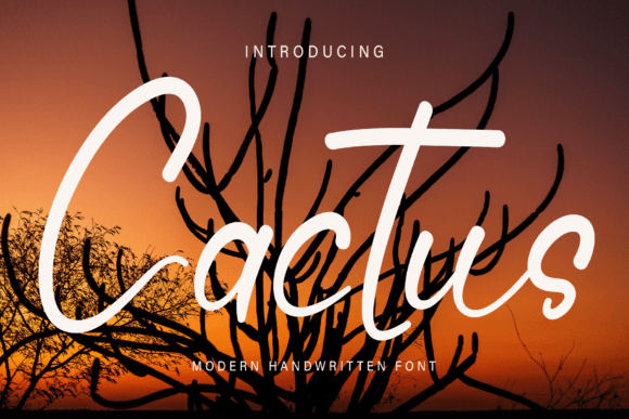 Cactus Font - Featured Image