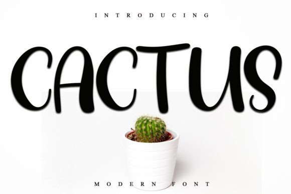 Cactus Font - Featured Image