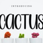 Cactus Font - Featured Image