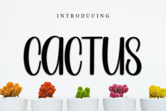 Cactus Font - Featured Image