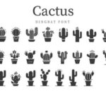 Cactus Font - Featured Image