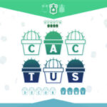 Cactus Font - Featured Image