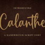 Calanthe Font - Featured Image
