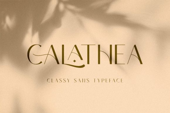 Calathea Font - Featured Image
