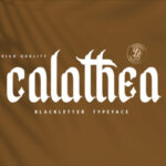 Calathea Font - Featured Image