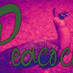 California Font - Featured Image
