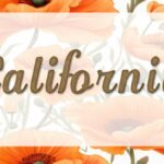 California Font - Featured Image