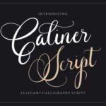 Caliner Script Font - Featured Image