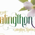 Calingthon Font - Featured Image