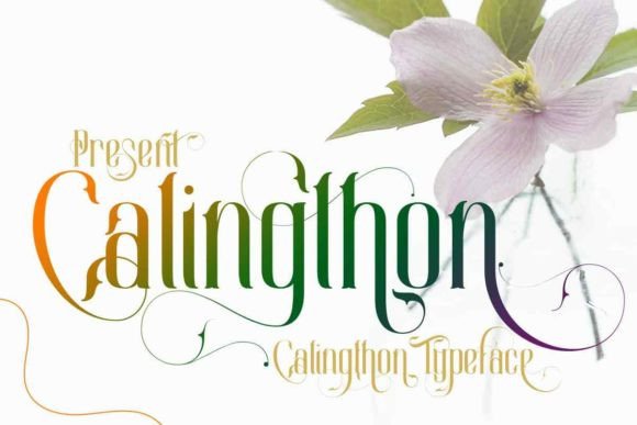 Calingthon Font - Featured Image