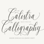 Calistra Calligraphy Font - Featured Image