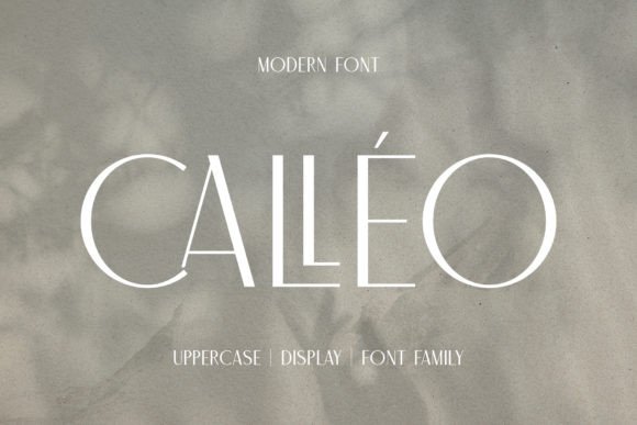 Calleo Font - Featured Image
