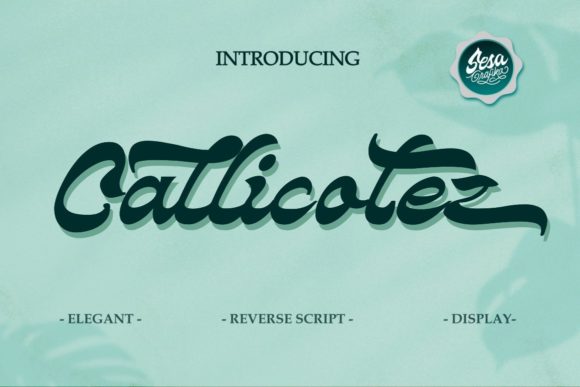 Callicotez Font - Featured Image