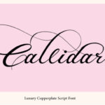 Callidar Font - Featured Image