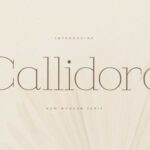 Callidora Font - Featured Image